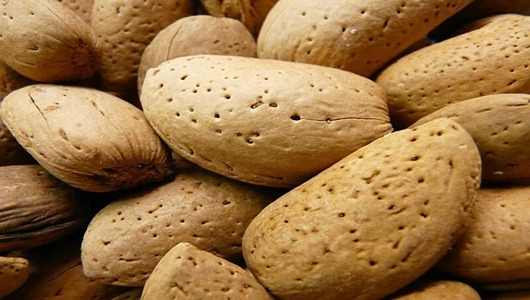 بادام سنگی